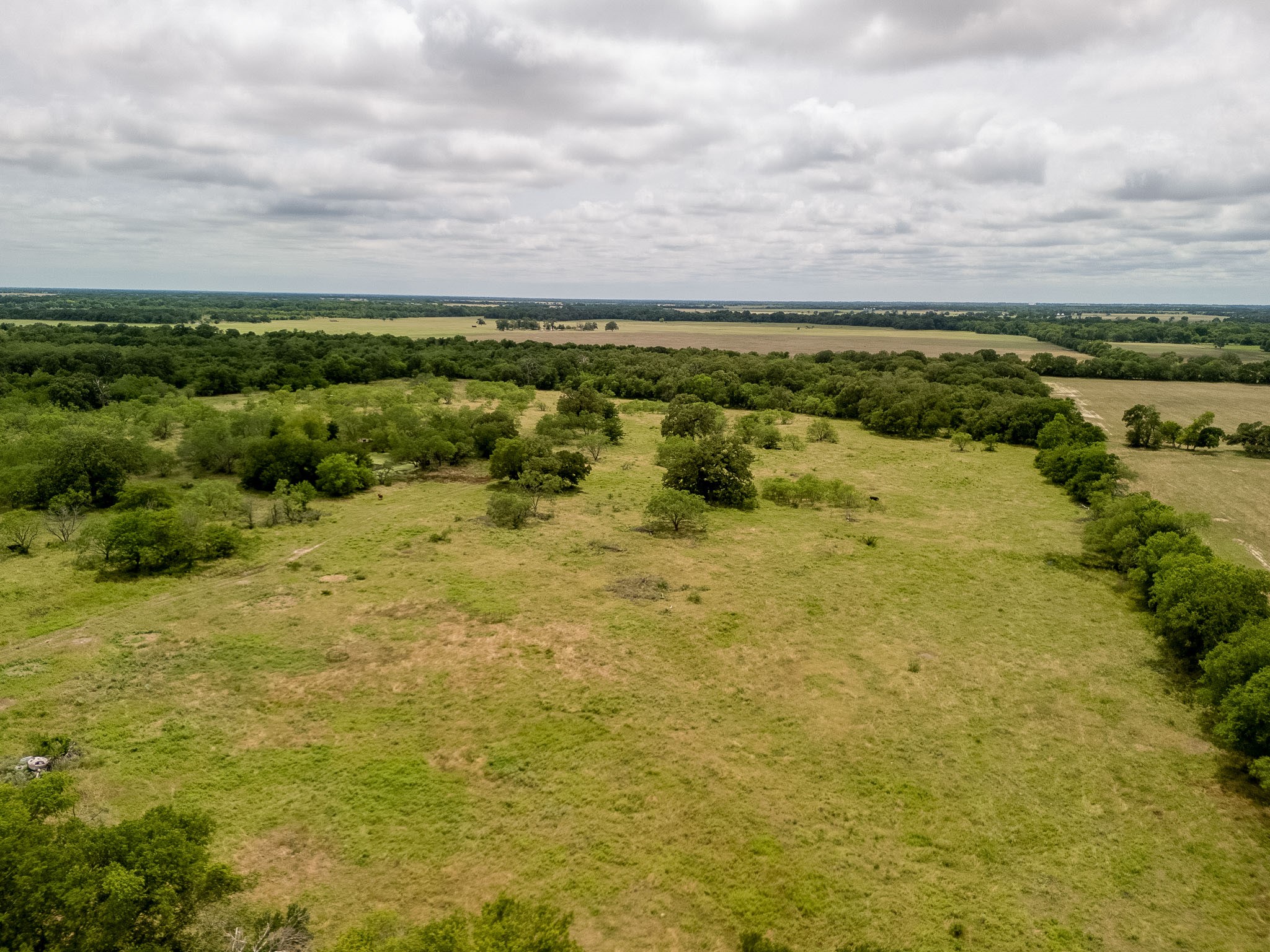 Tbd 20 Acres County Road 159 Riesel TX 76682