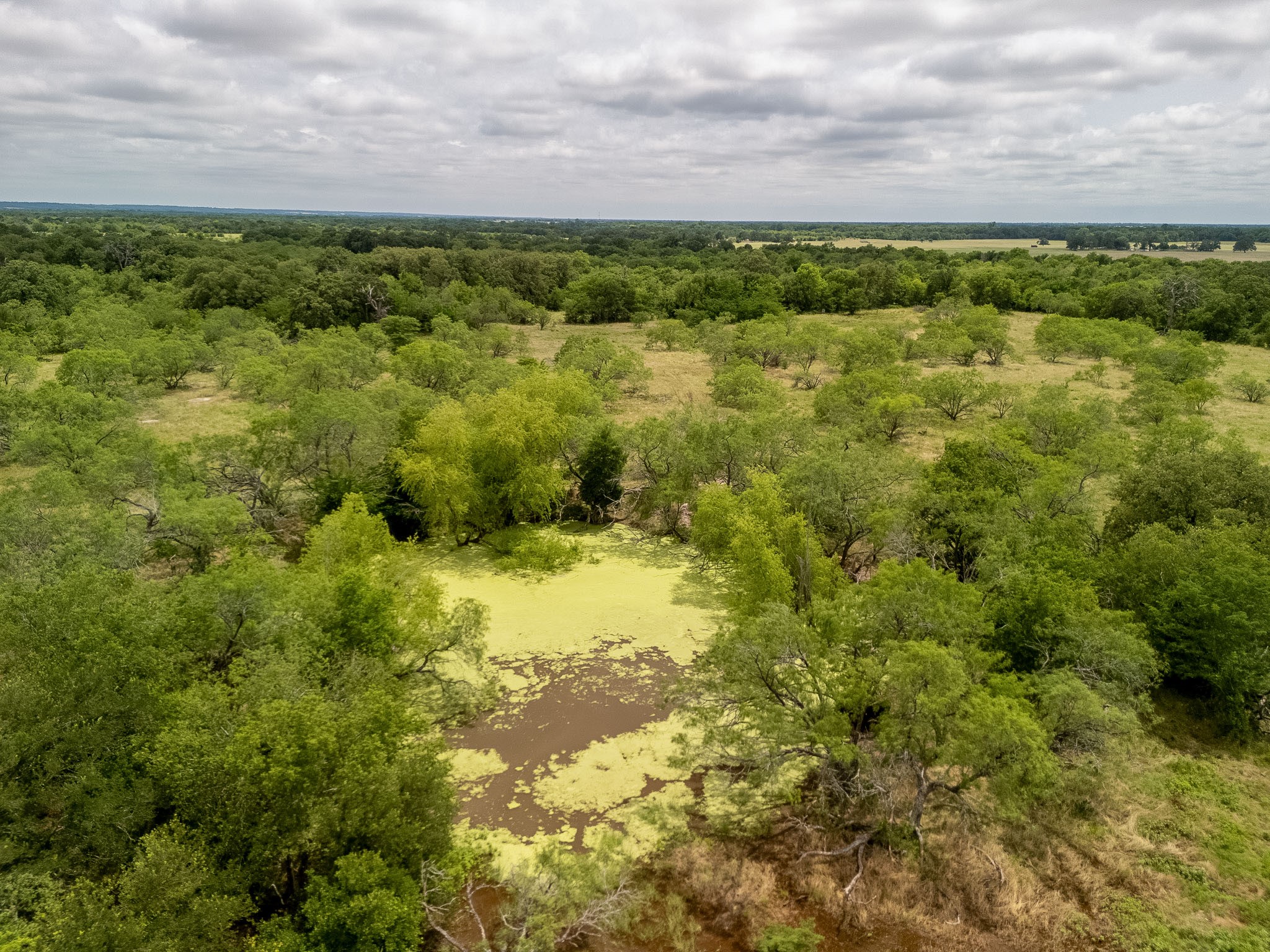 Tbd 20 Acres County Road 159 Riesel TX 76682