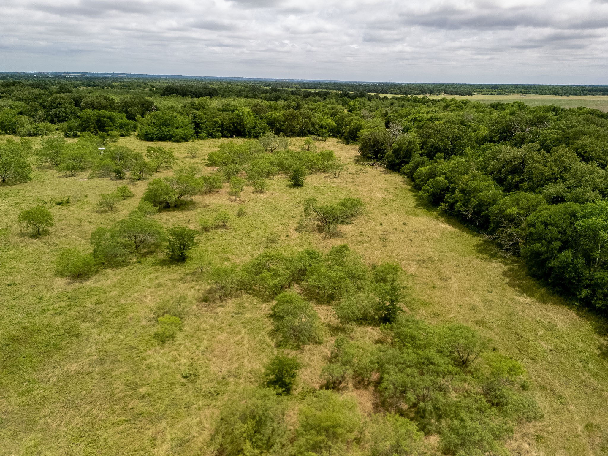 Tbd 20 Acres County Road 159 Riesel TX 76682