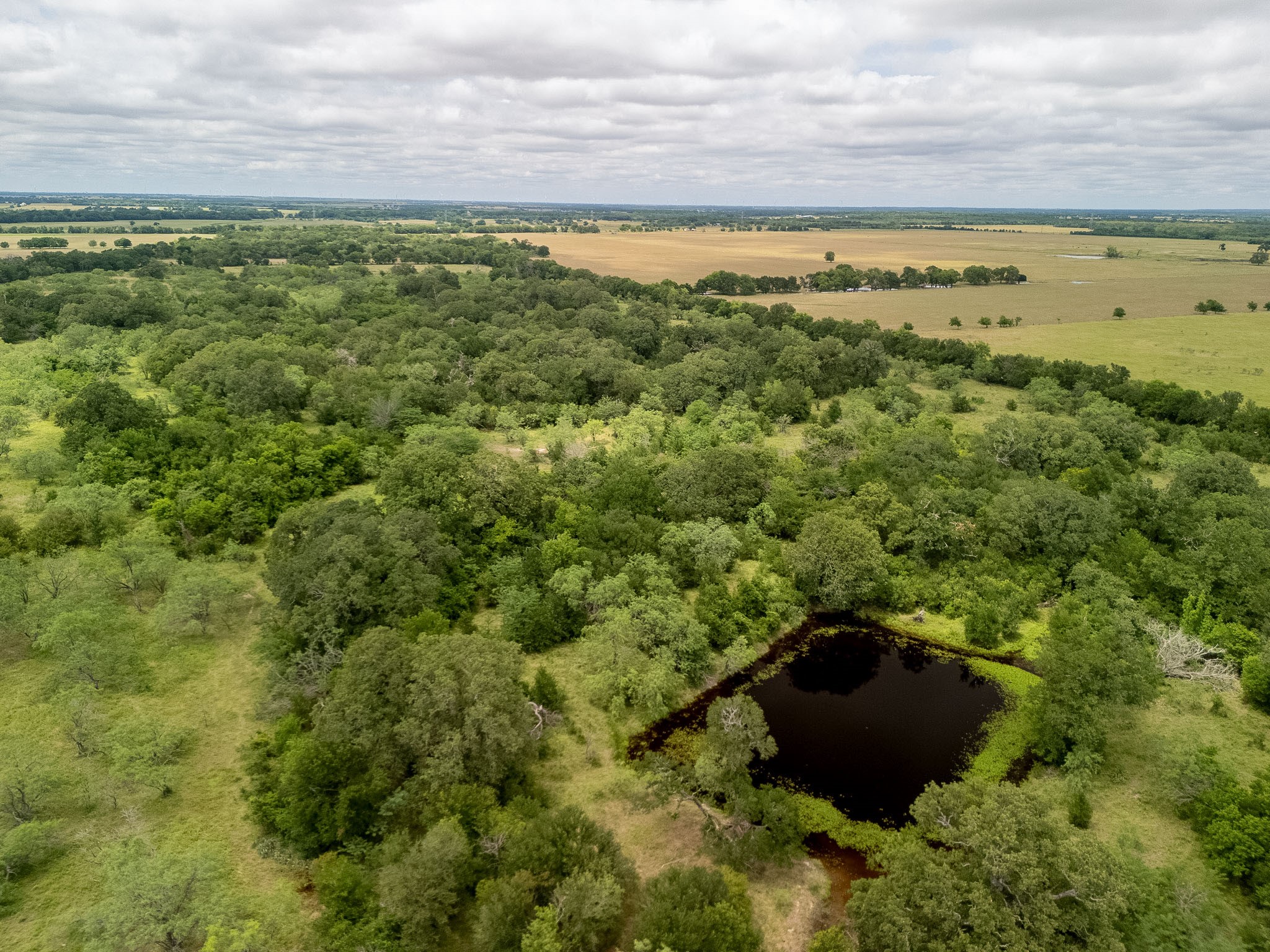 Tbd 20 Acres County Road 159 Riesel TX 76682