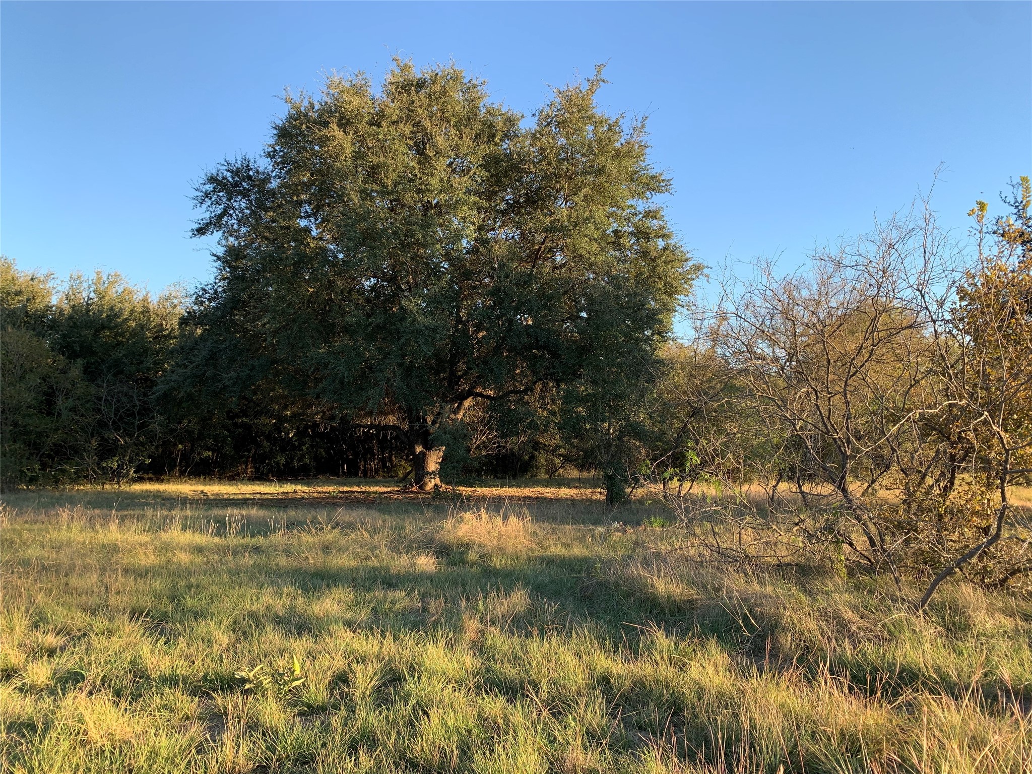 Tbd Private Road 190 Blum TX 76627
