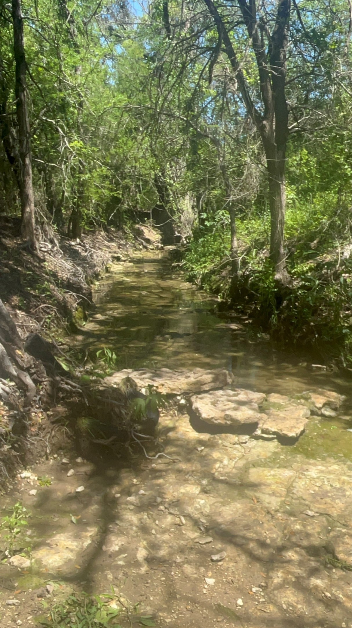Tbd Private Road 190 Blum TX 76627