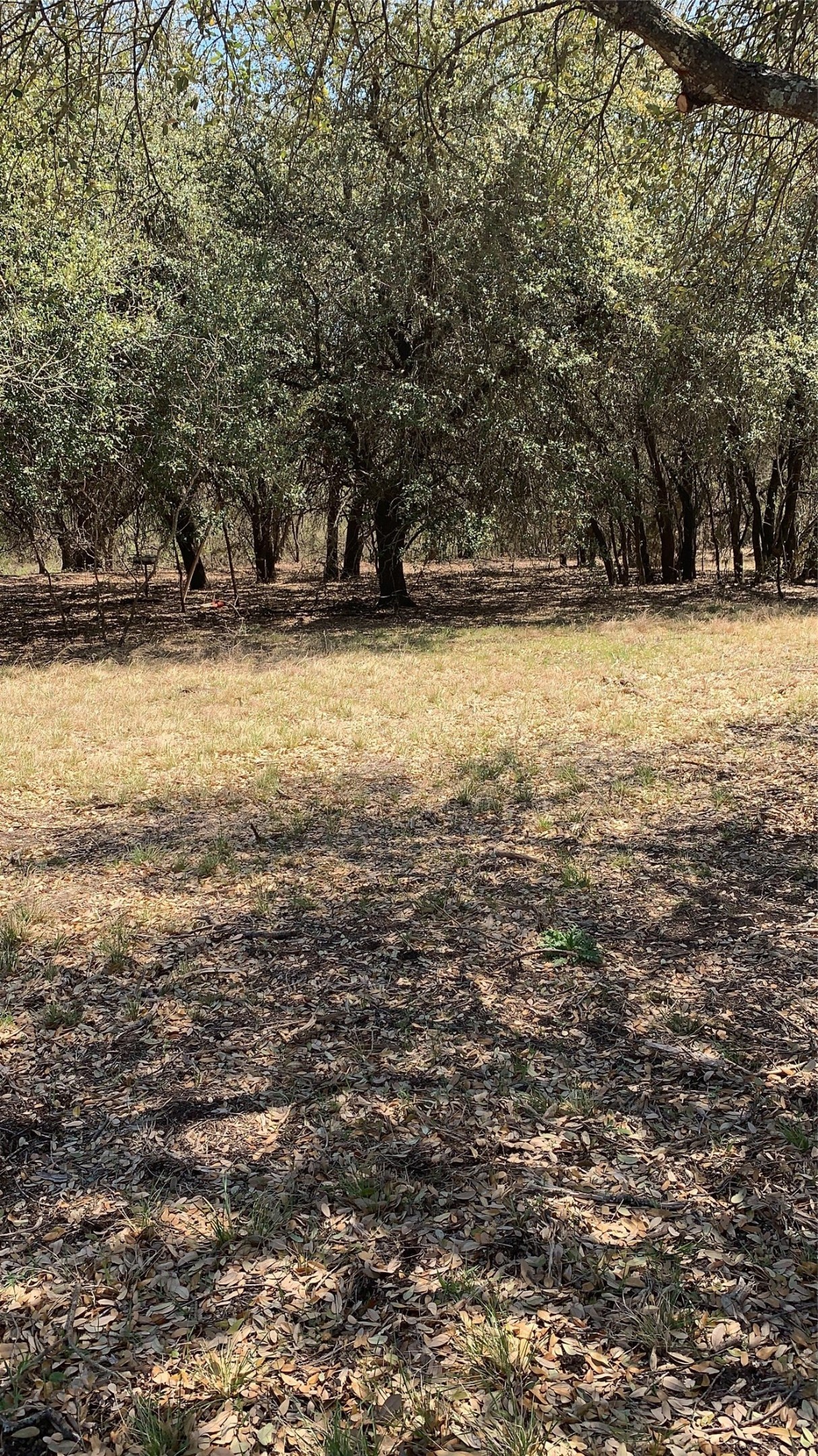 Tbd Private Road 190 Blum TX 76627