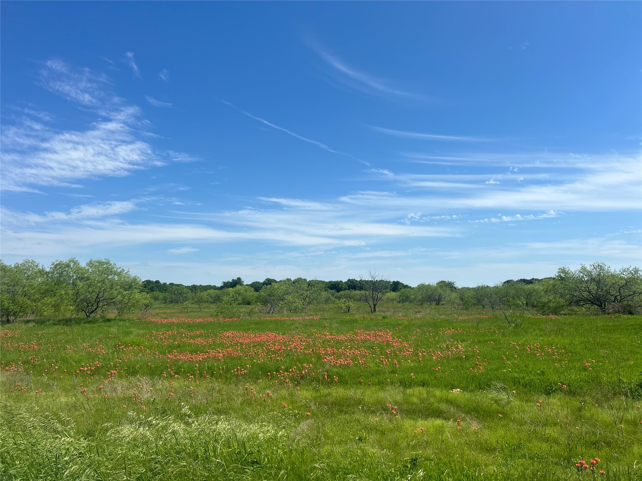 Tbd Private Road 190 Blum TX 76627