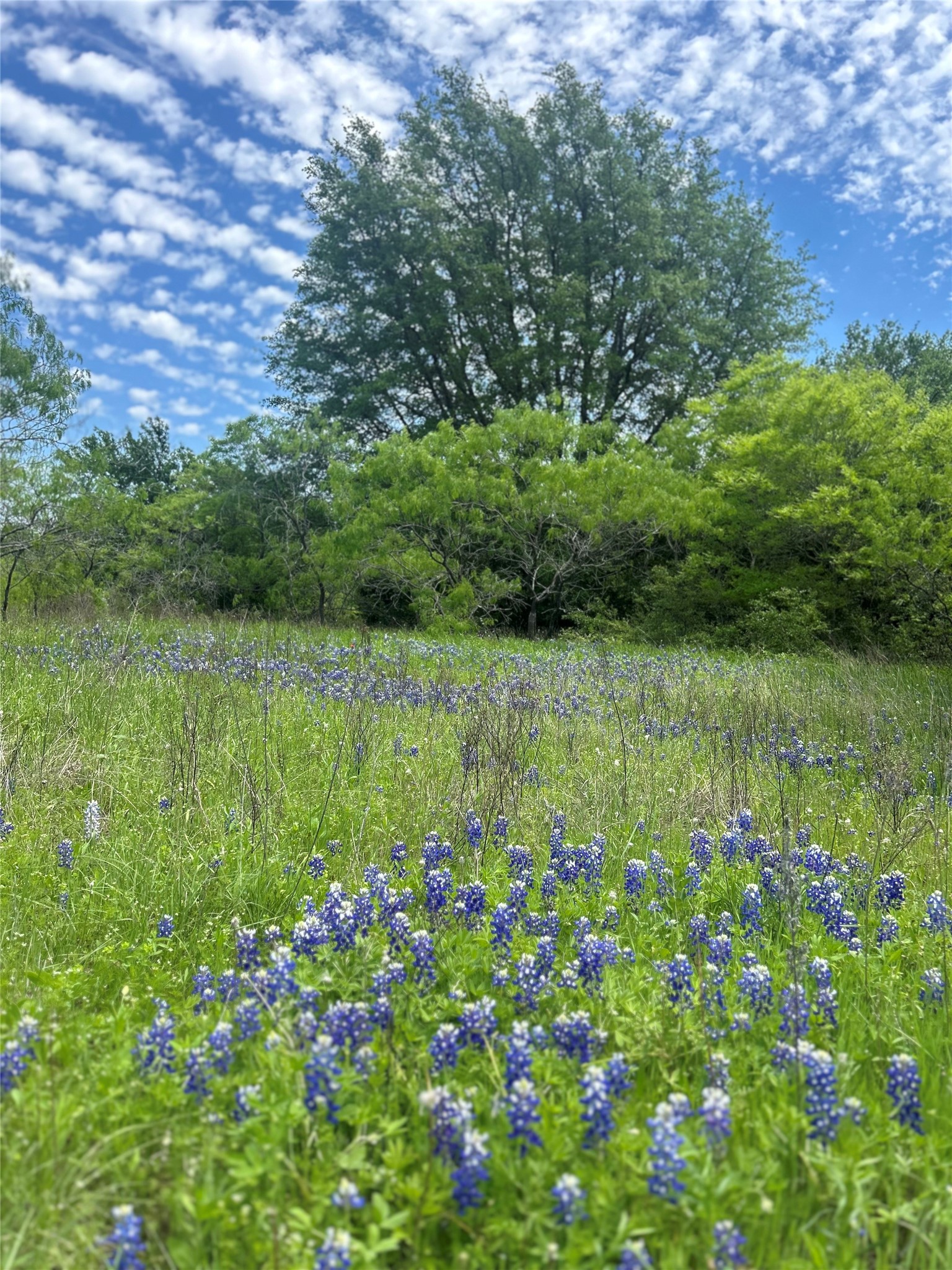 Tbd Private Road 190 Blum TX 76627