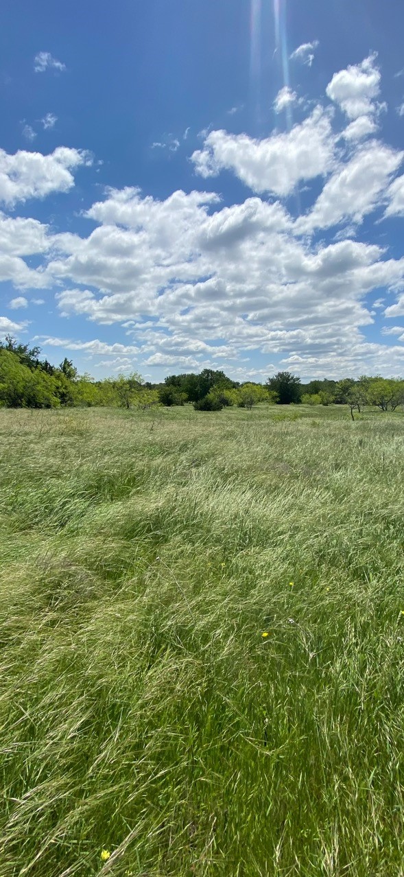 Tbd Private Road 190 Blum TX 76627