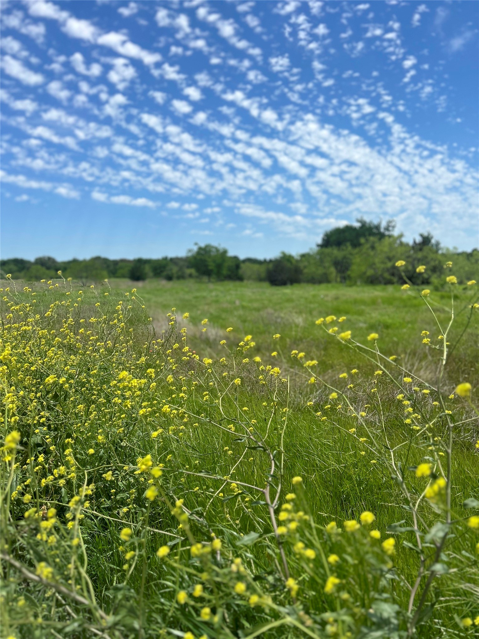 Tbd Private Road 190 Blum TX 76627