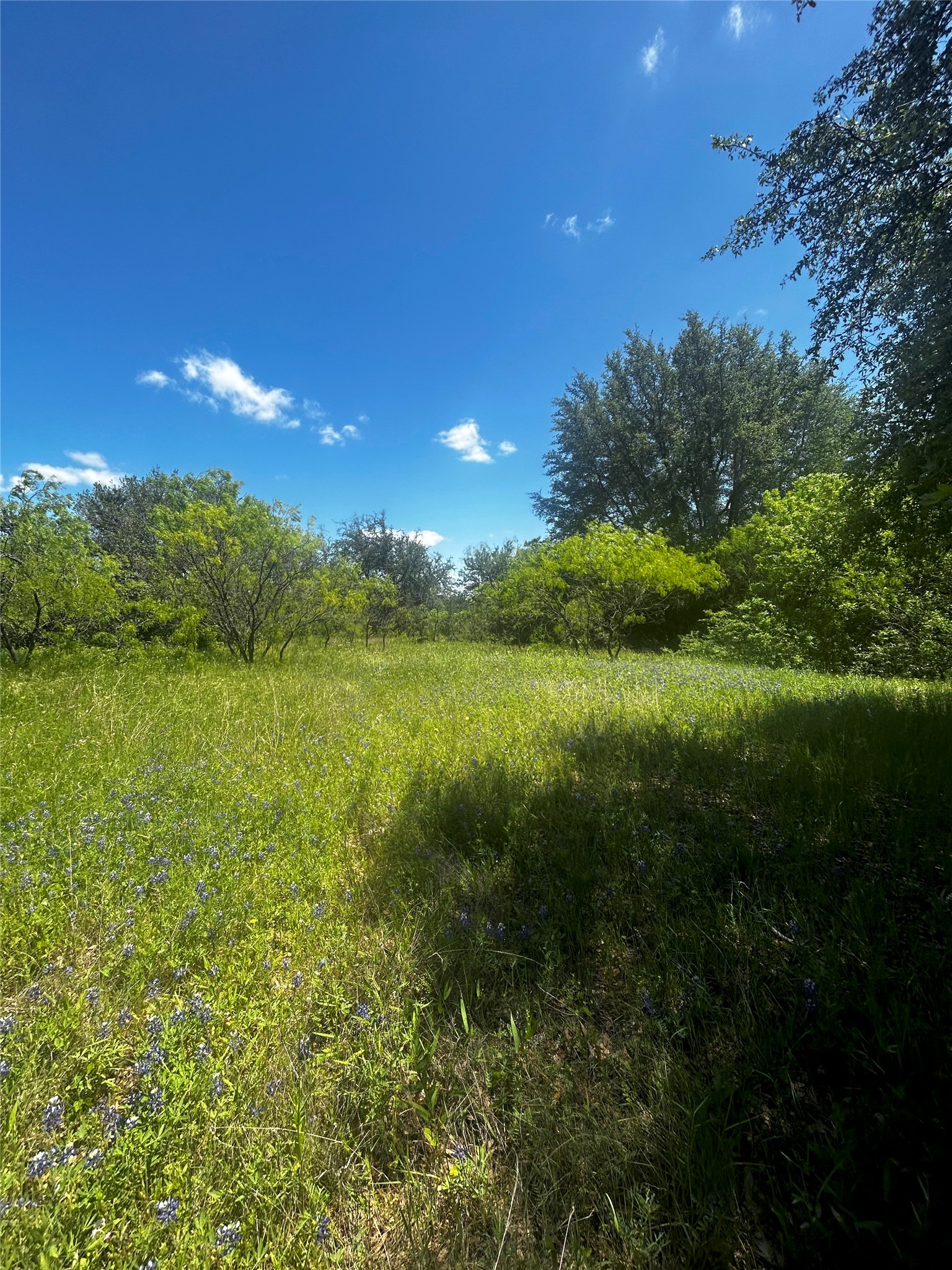 Tbd Private Road 190 Blum TX 76627