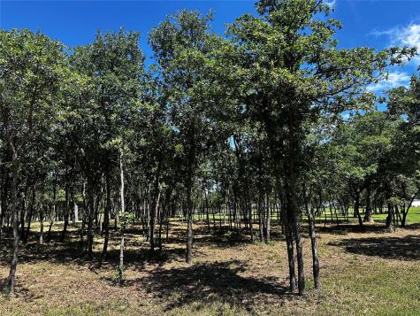 Tbd Fm 374 Cross Plains TX 76443