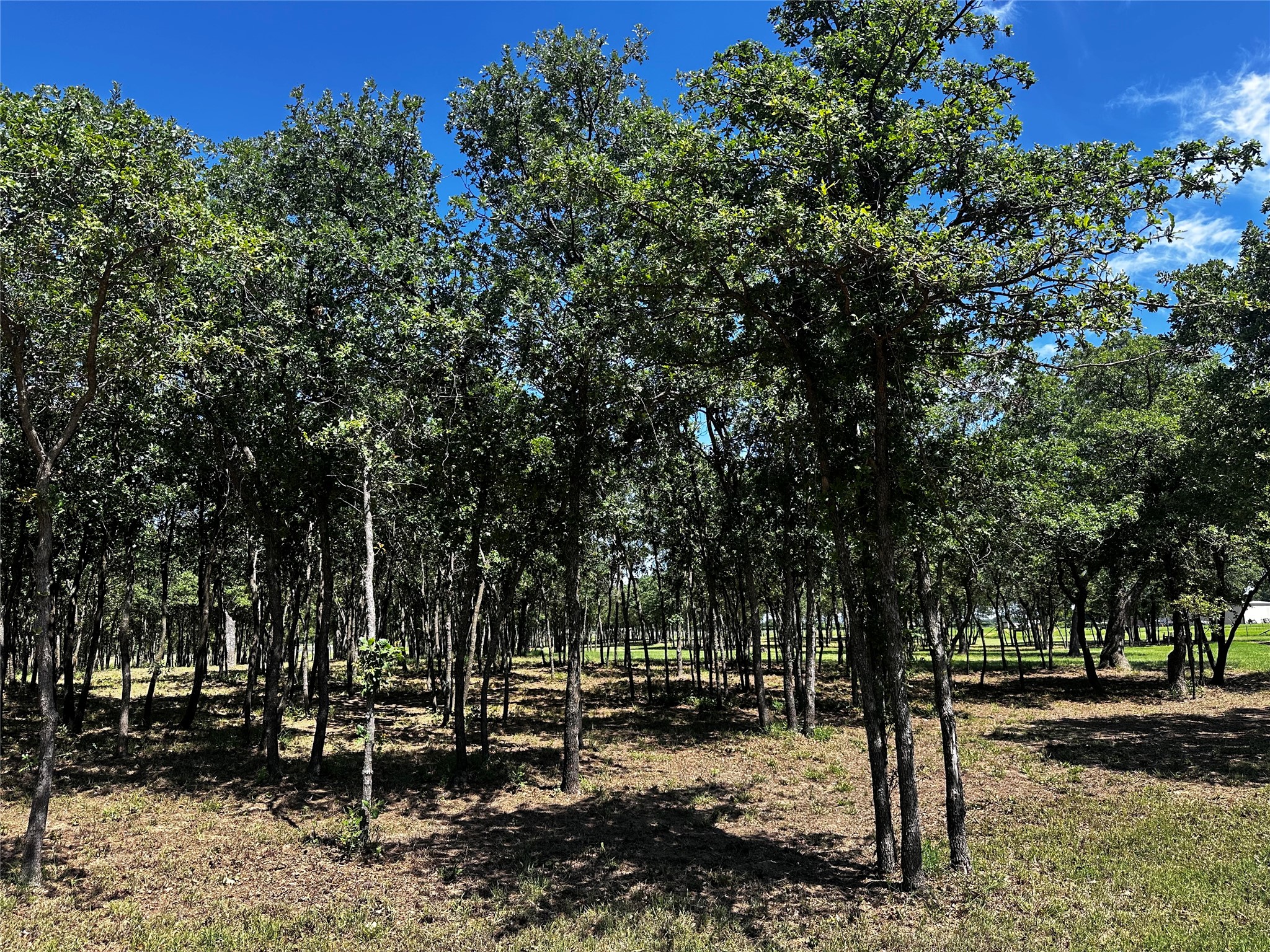 Tbd Fm 374 Cross Plains TX 76443