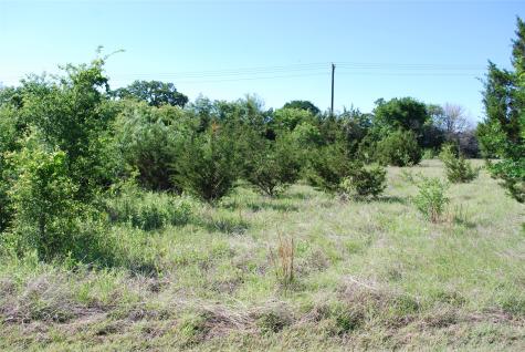 12065 Westmeadow Drive Whitney TX 76692