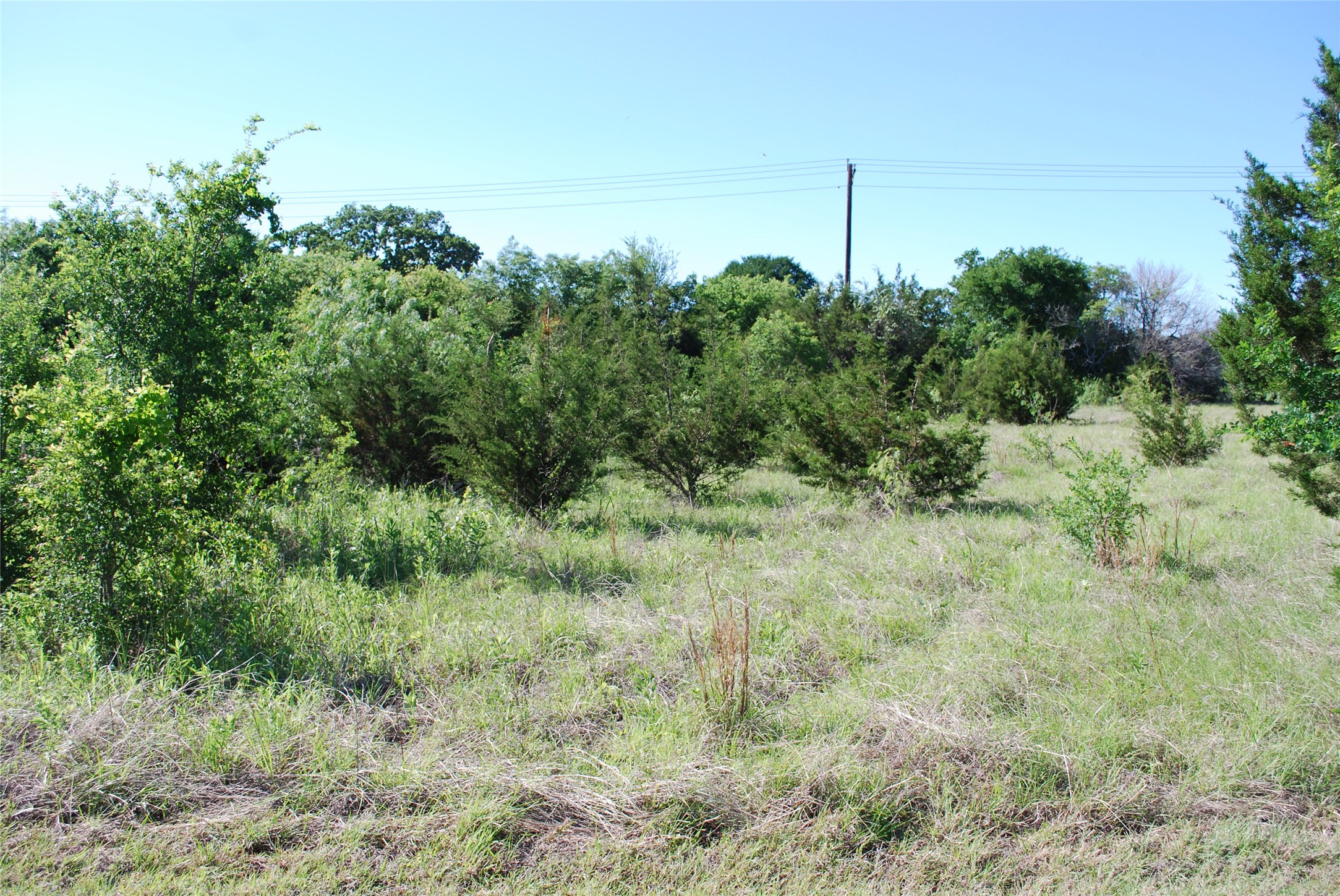 12065 Westmeadow Drive Whitney TX 76692