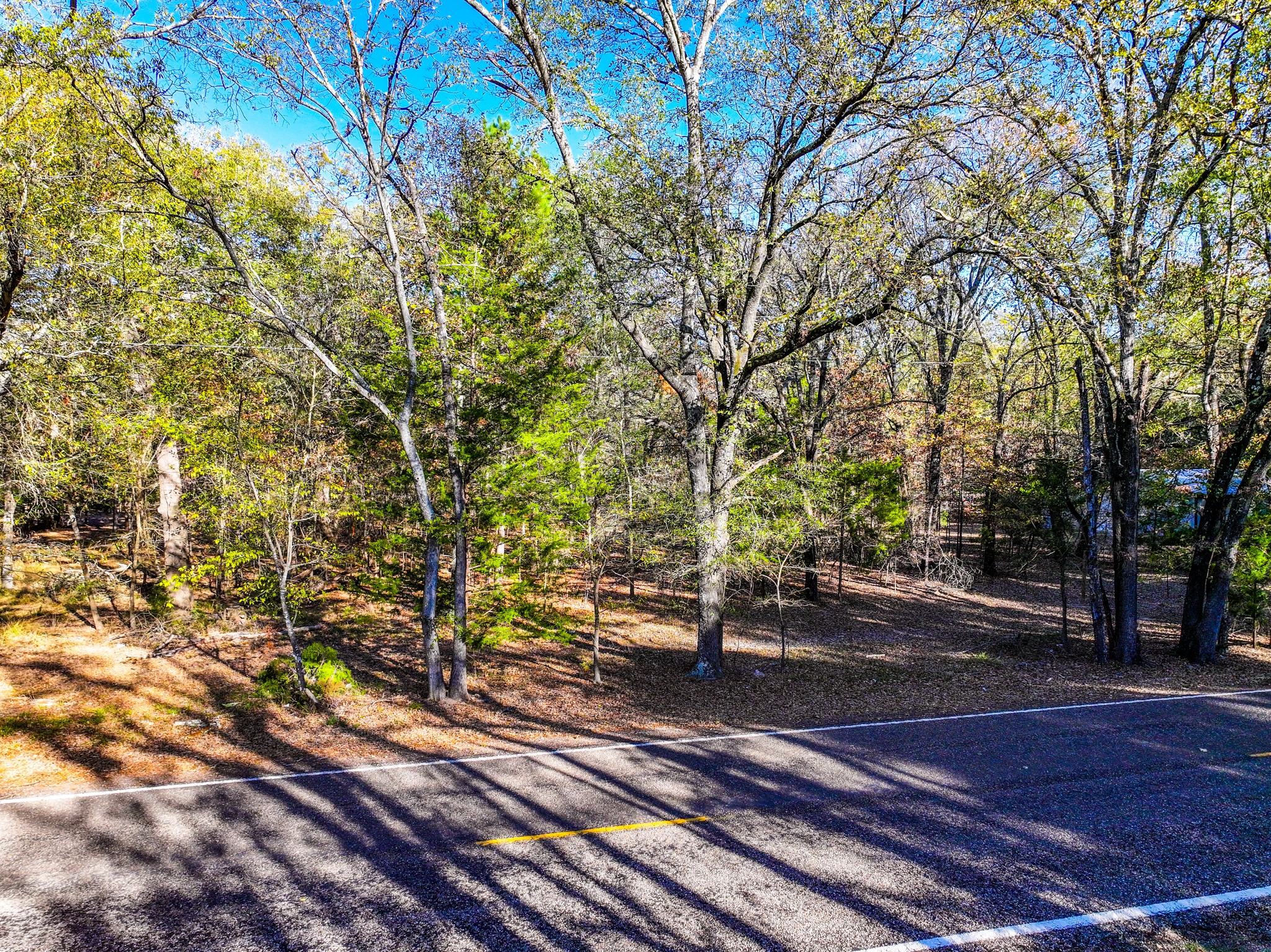 Lot 17 Sweet Gum Lane Mount Vernon TX 75457