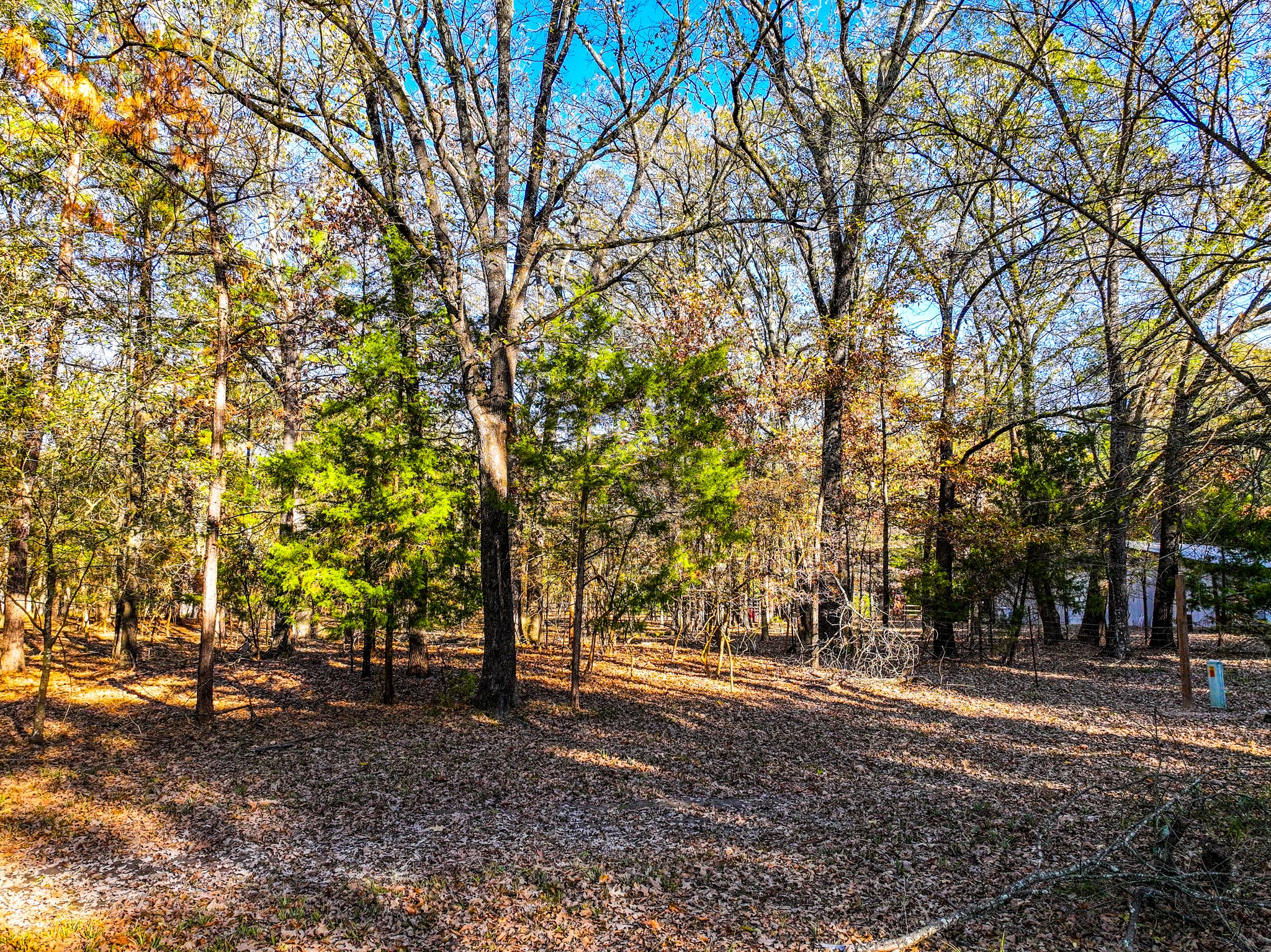 Lot 17 Sweet Gum Lane Mount Vernon TX 75457