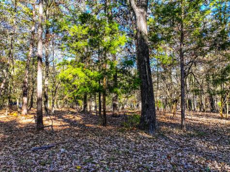 Lot 17 Sweet Gum Lane Mount Vernon TX 75457