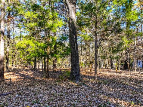 Lot 17 Sweet Gum Lane Mount Vernon TX 75457