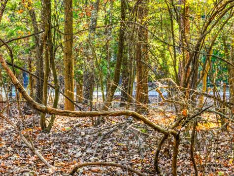 Lot 17 Sweet Gum Lane Mount Vernon TX 75457