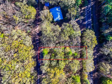 Lot 17 Sweet Gum Lane Mount Vernon TX 75457