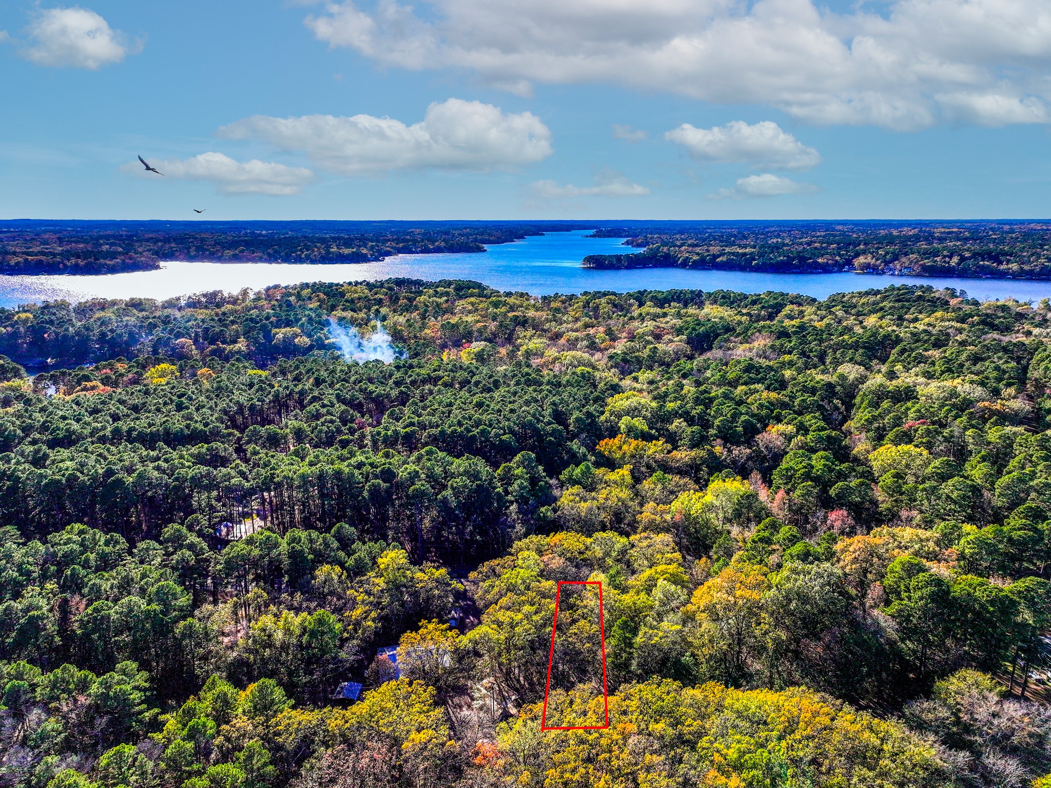 Lot 17 Sweet Gum Lane Mount Vernon TX 75457