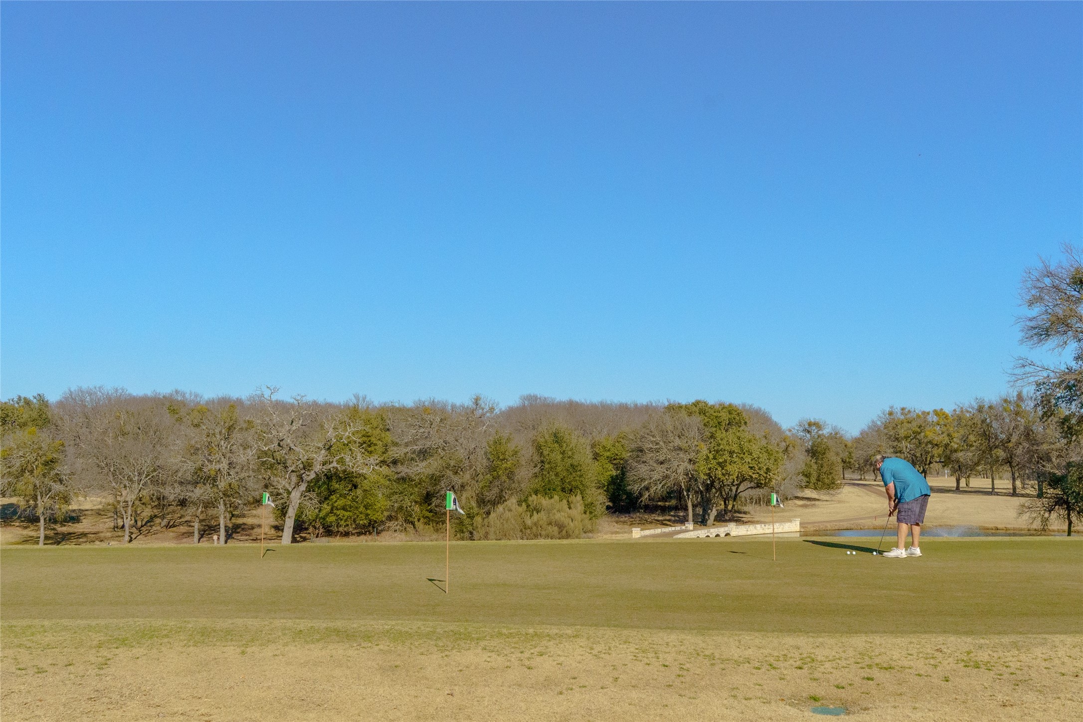 22156 Shady Grove Court Whitney TX 76692
