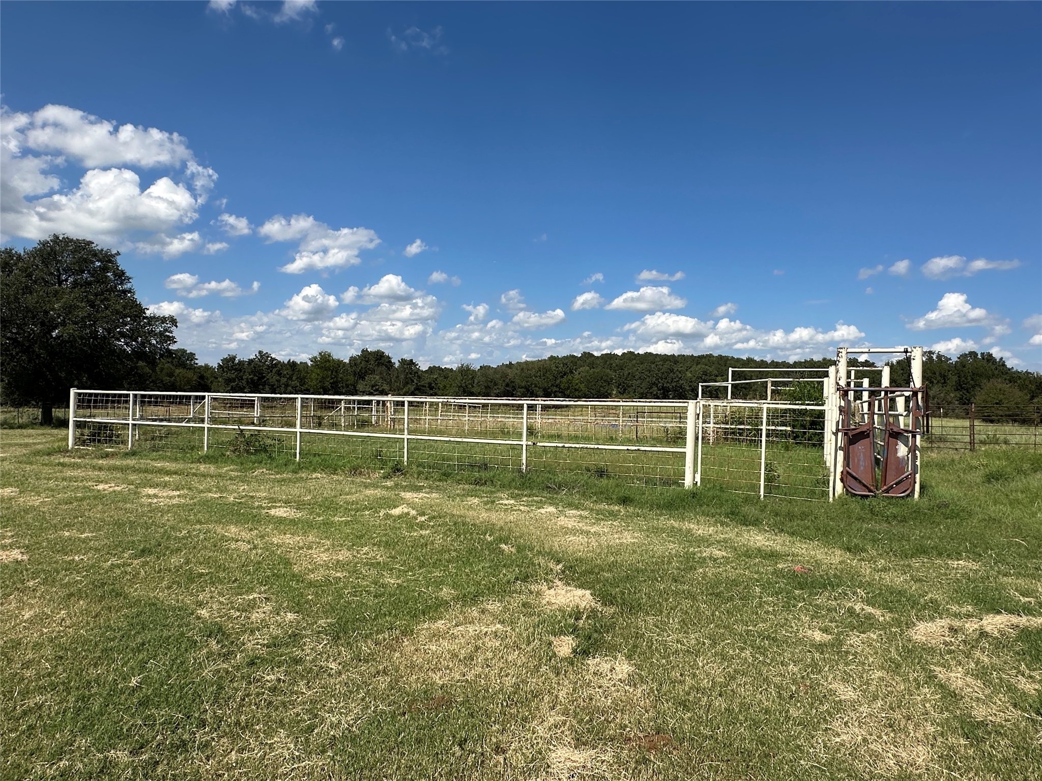 6551 Crooked Crk Road Bowie TX 76230