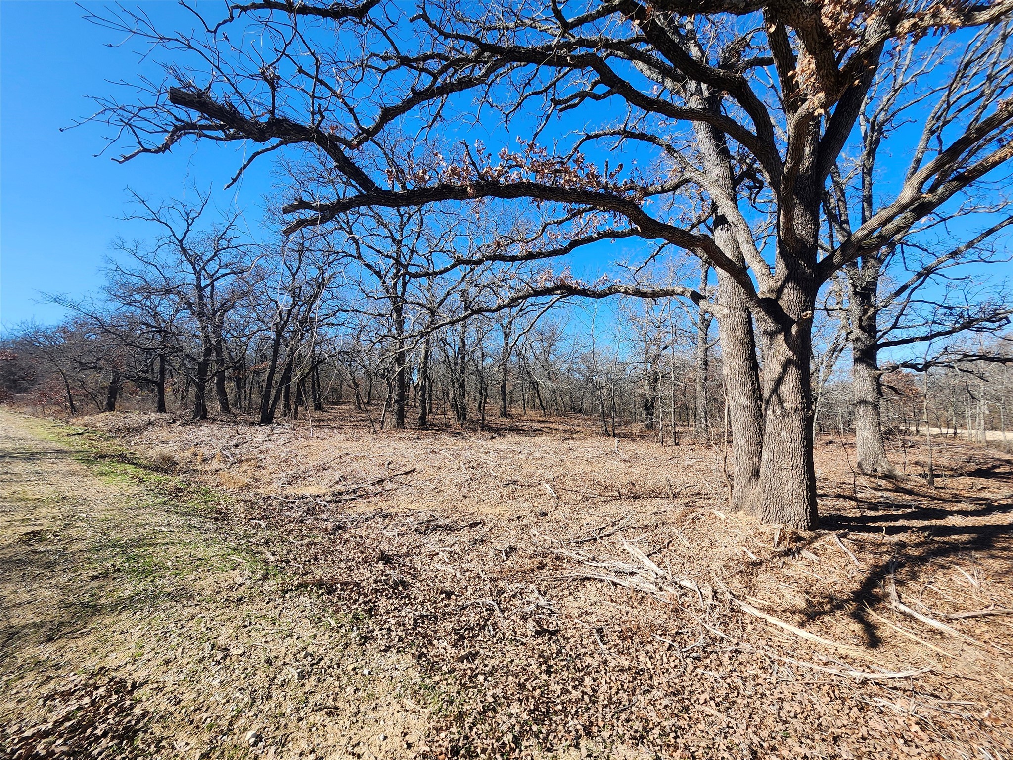 139 Chisholm Trail Nocona TX 76255