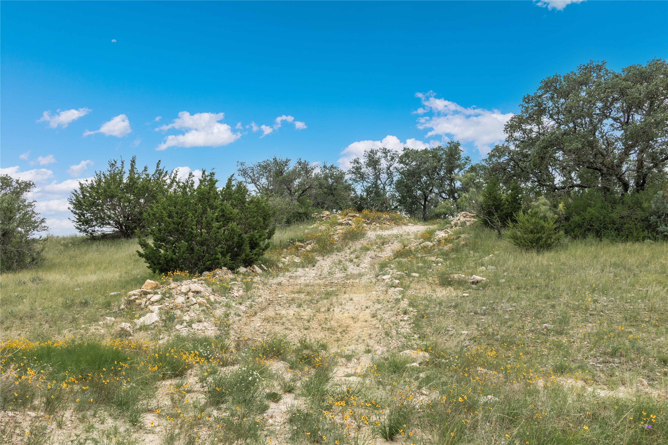 332 Ledge Stone Blanket TX 67432