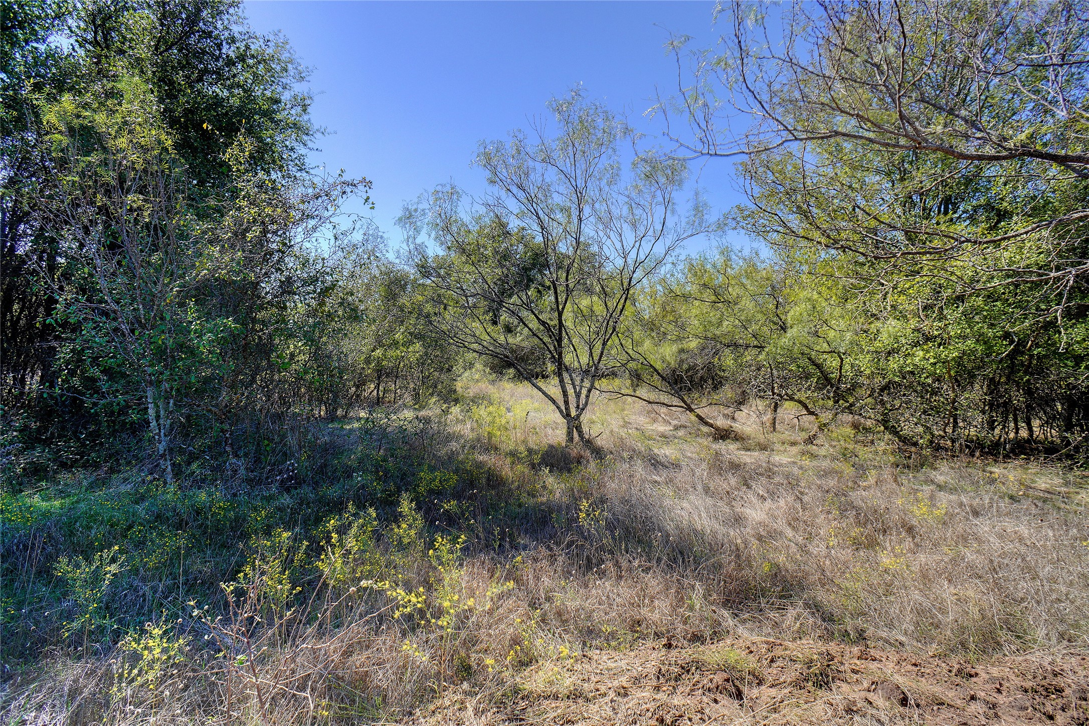 3707 Bob White Granbury TX 76049