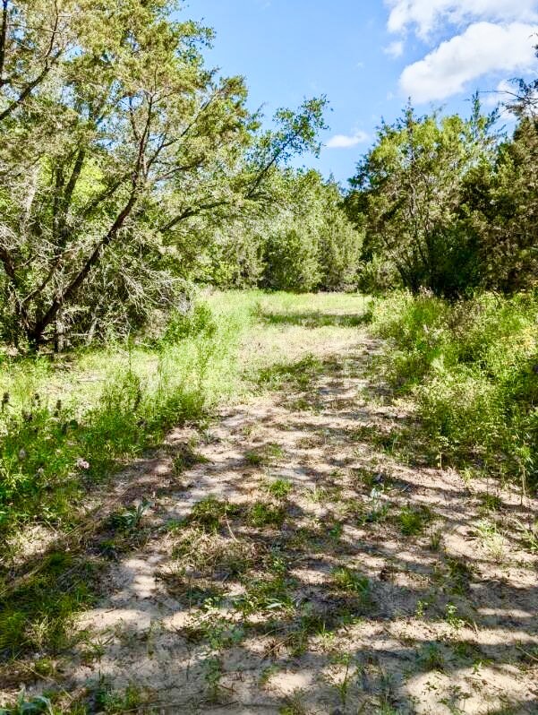 3707 Bob White Granbury TX 76049