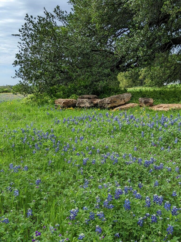3707 Bob White Granbury TX 76049