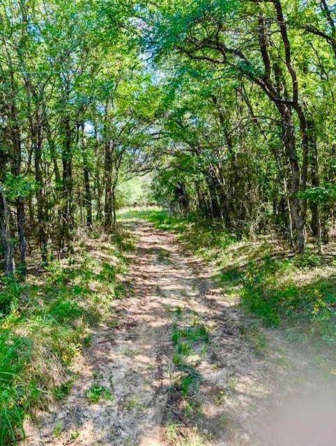 3707 Bob White Granbury TX 76049