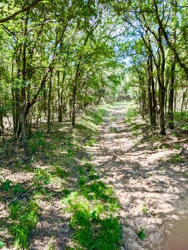 3707 Bob White Granbury TX 76049