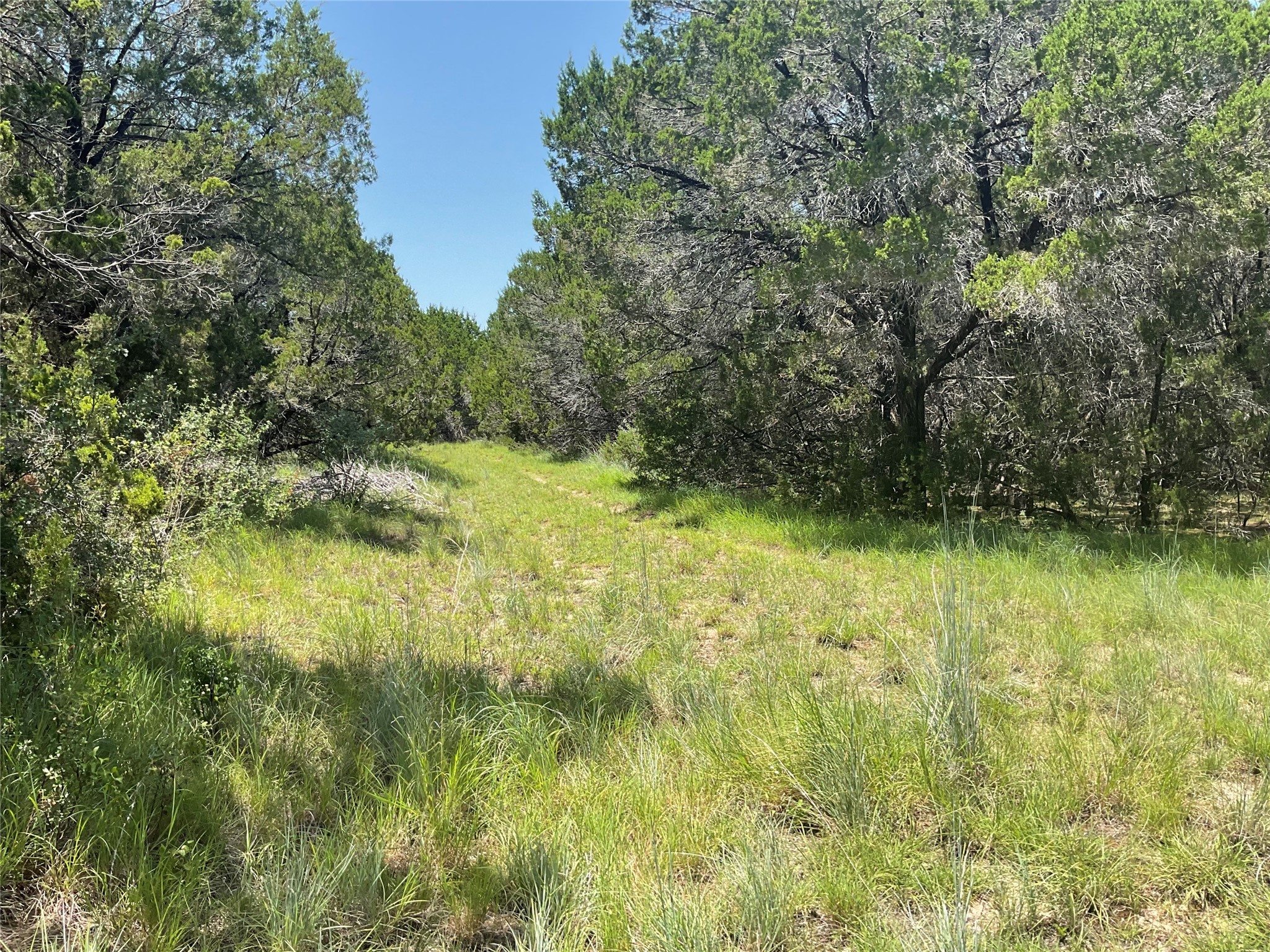 18228 Fm-56 Kopperl TX 76652