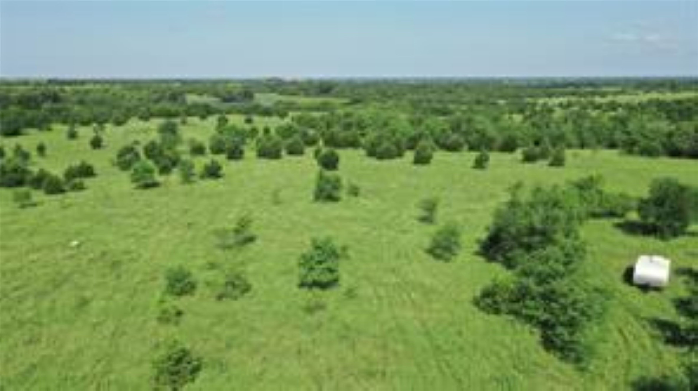 Tbd 22.494 County Road 703 Farmersville TX 75442