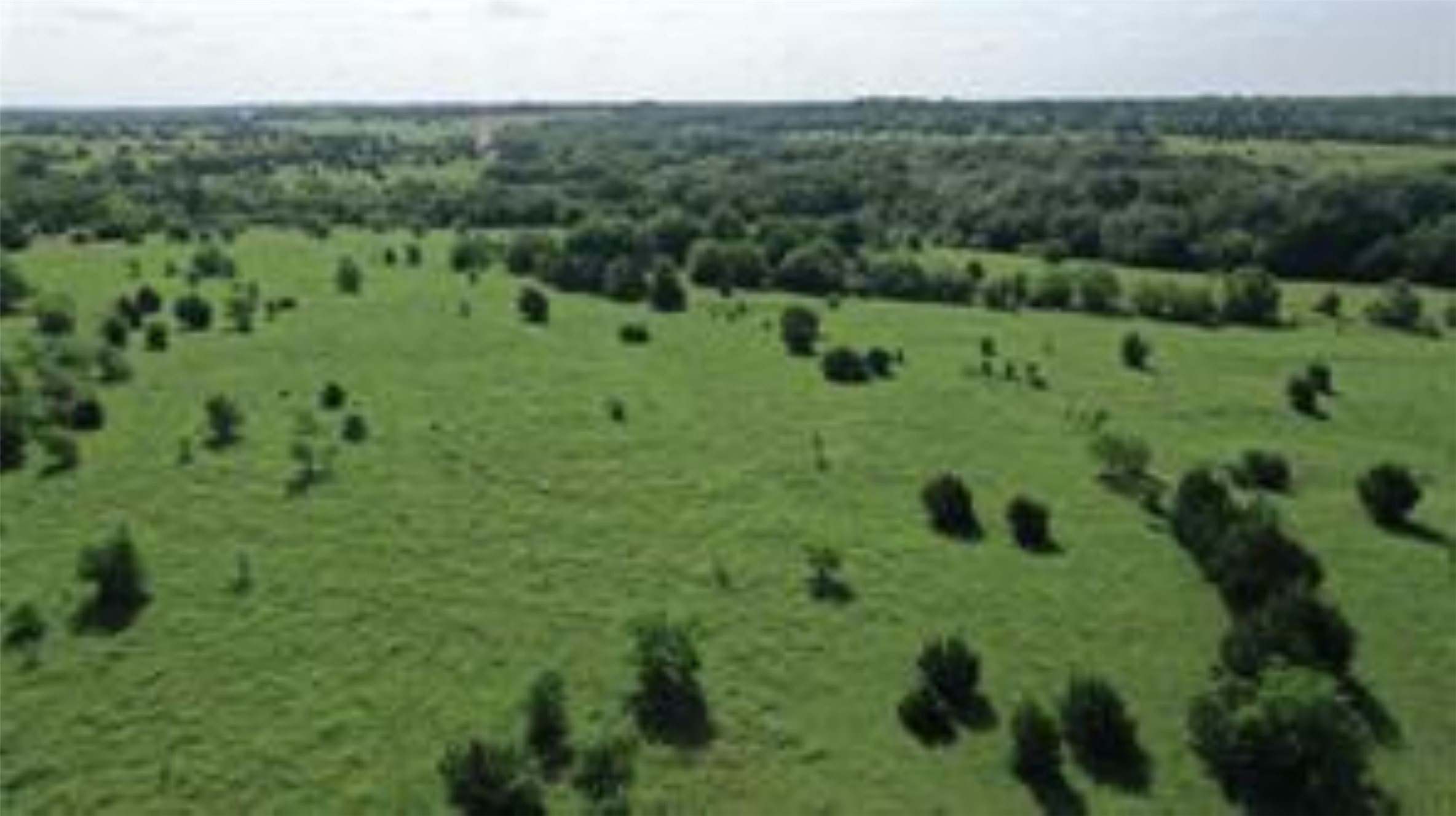 Tbd 22.494 County Road 703 Farmersville TX 75442