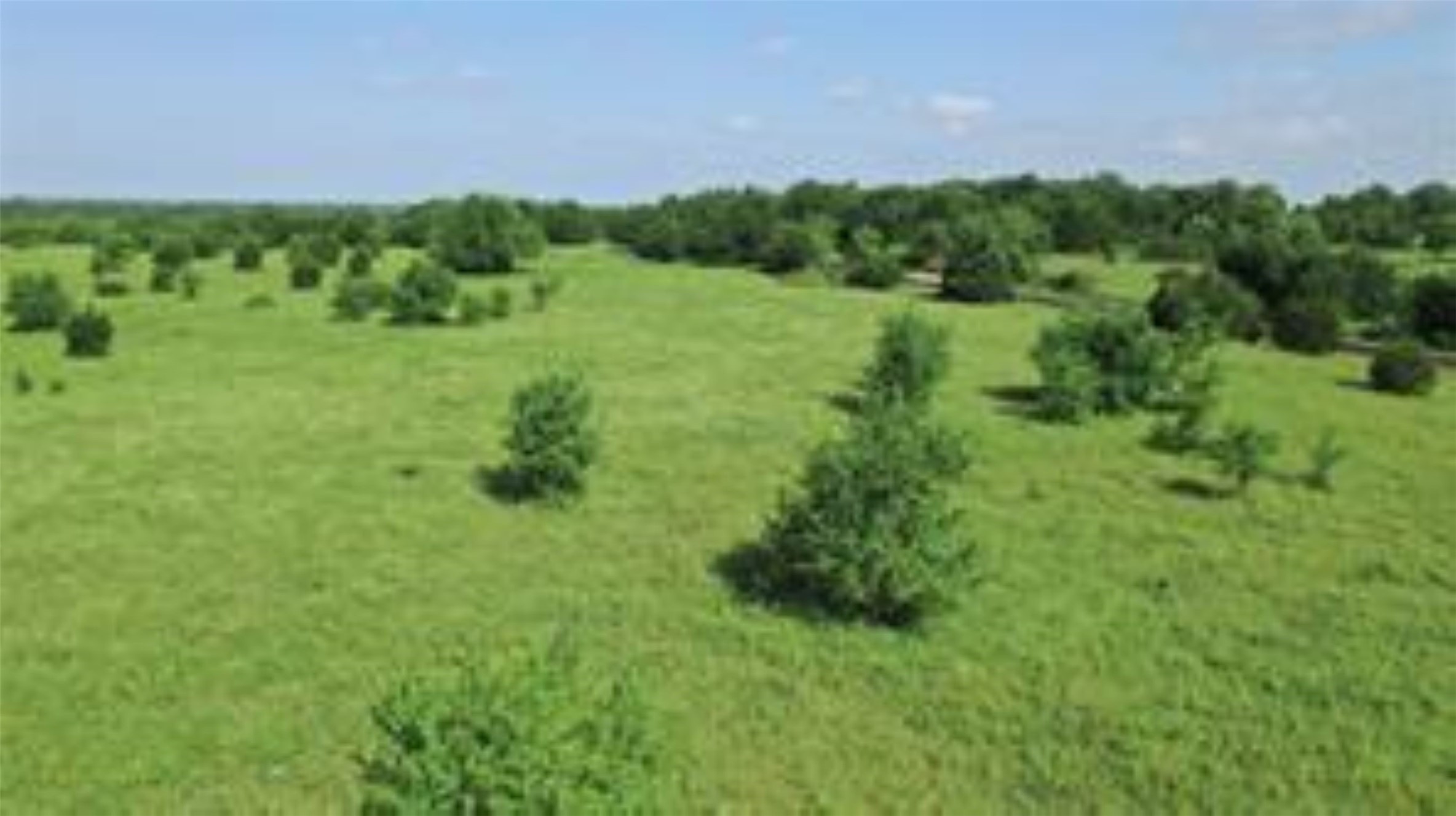 Tbd 22.494 County Road 703 Farmersville TX 75442