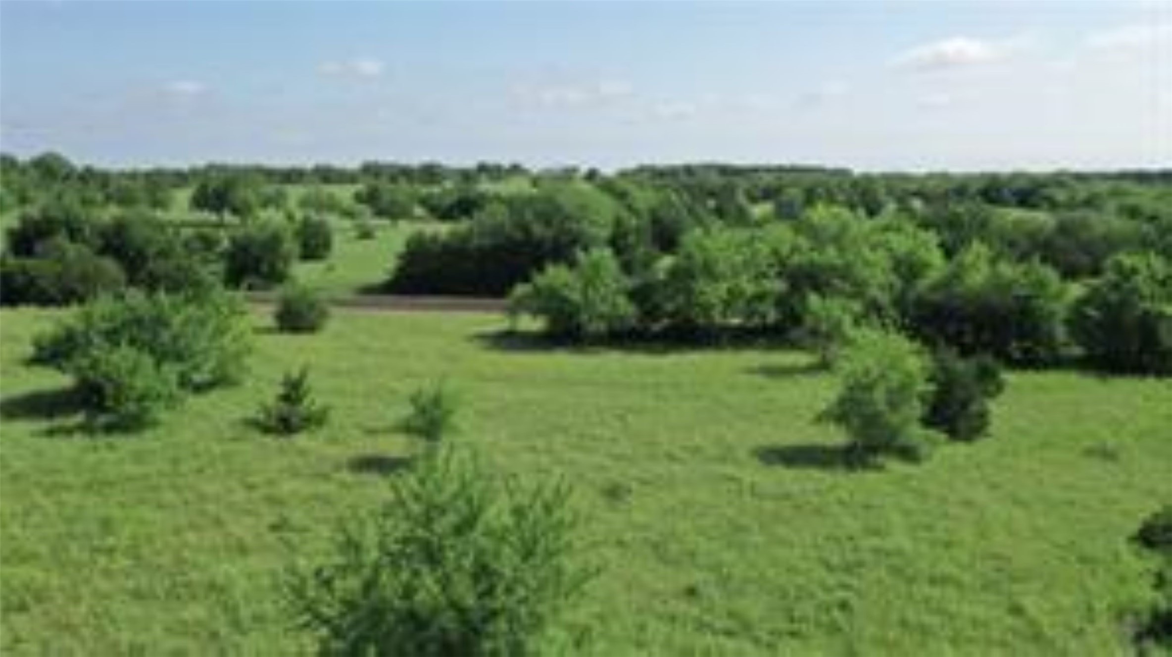 Tbd 22.494 County Road 703 Farmersville TX 75442