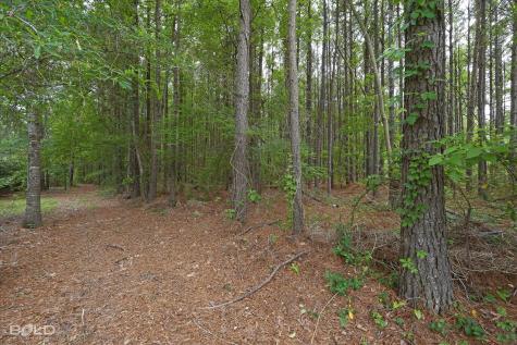 0 Boothville Road Doyline LA 71023