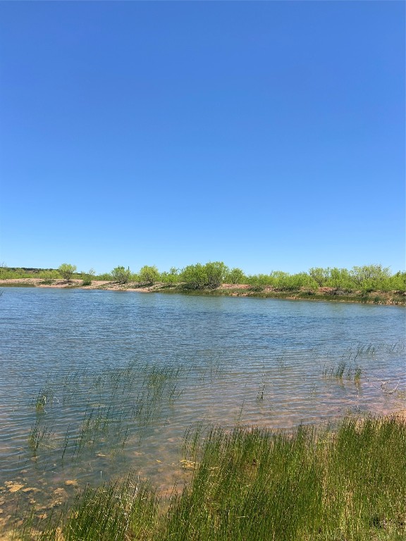 9998 Highway 67-84 Santa Anna TX 76878