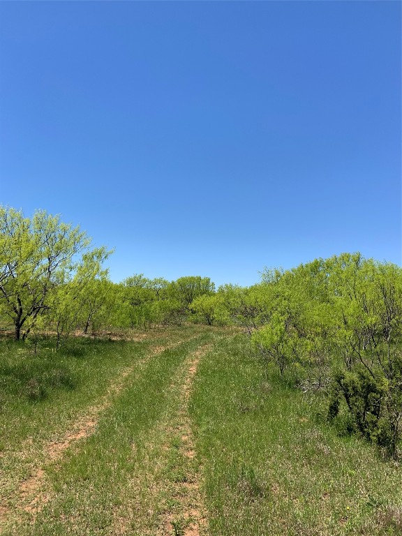 9998 Highway 67-84 Santa Anna TX 76878