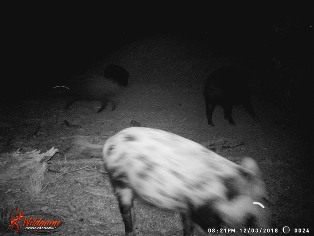 9998 Highway 67-84 Santa Anna TX 76878