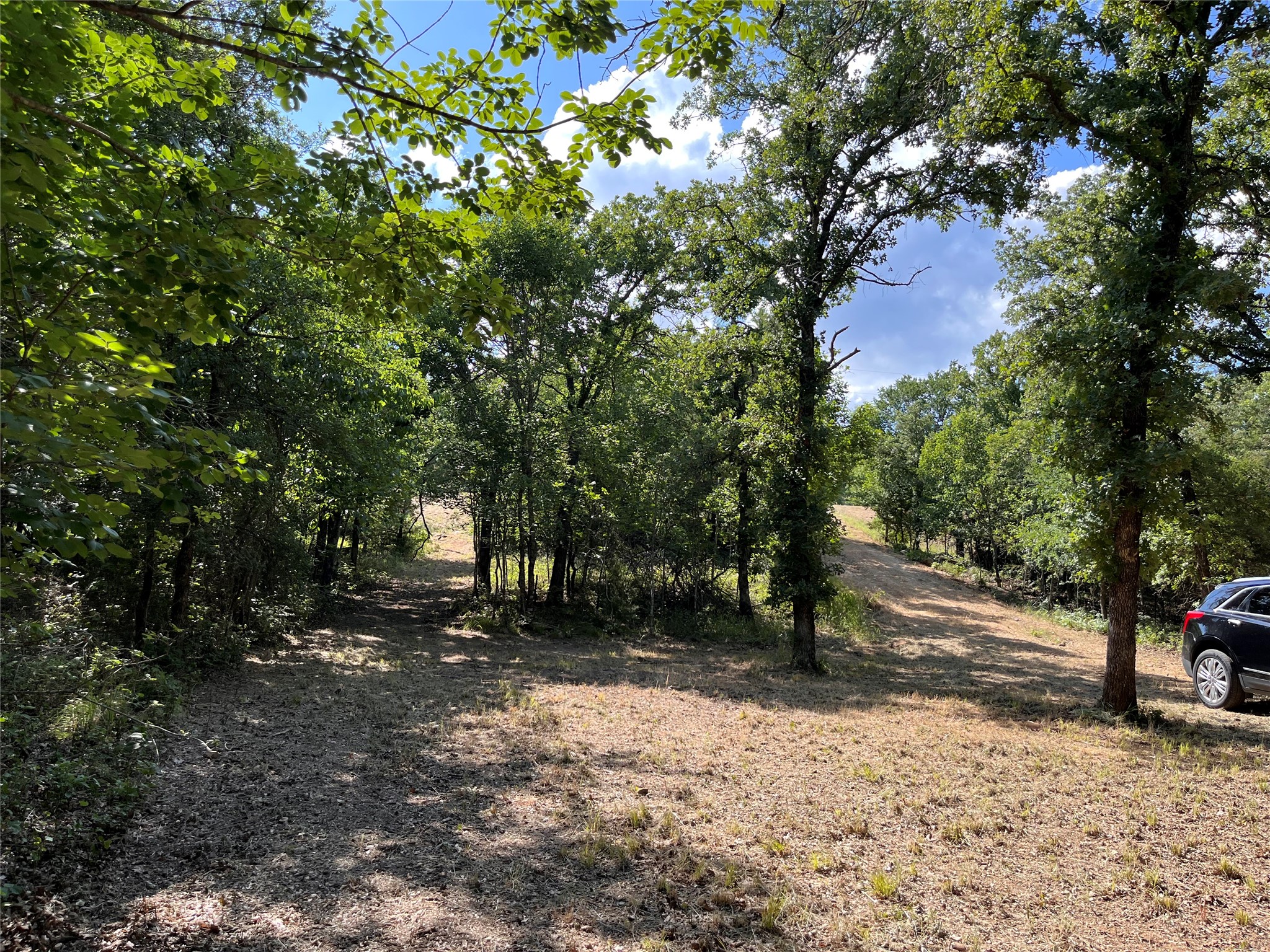 381 Ranchview Court Bowie TX 76230