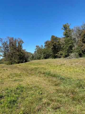 TBD 008 County Road 242 Oakwood TX 75855