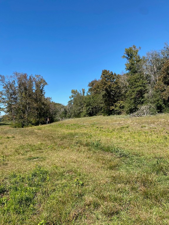 Tbd 008 County Road 242 Oakwood TX 75855