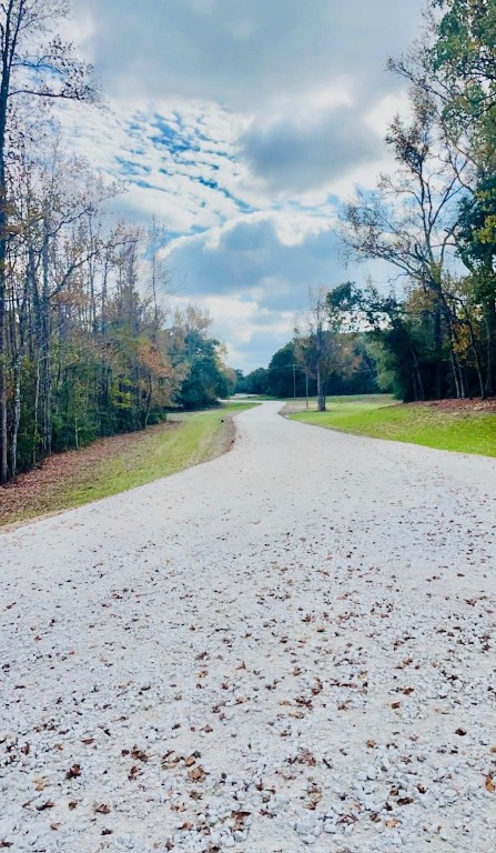 Tbd 008 County Road 242 Oakwood TX 75855