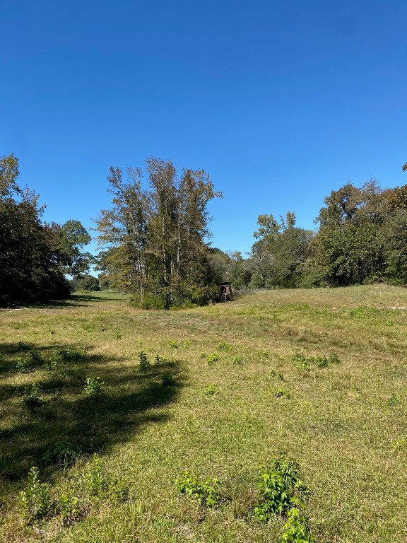 Tbd 008 County Road 242 Oakwood TX 75855