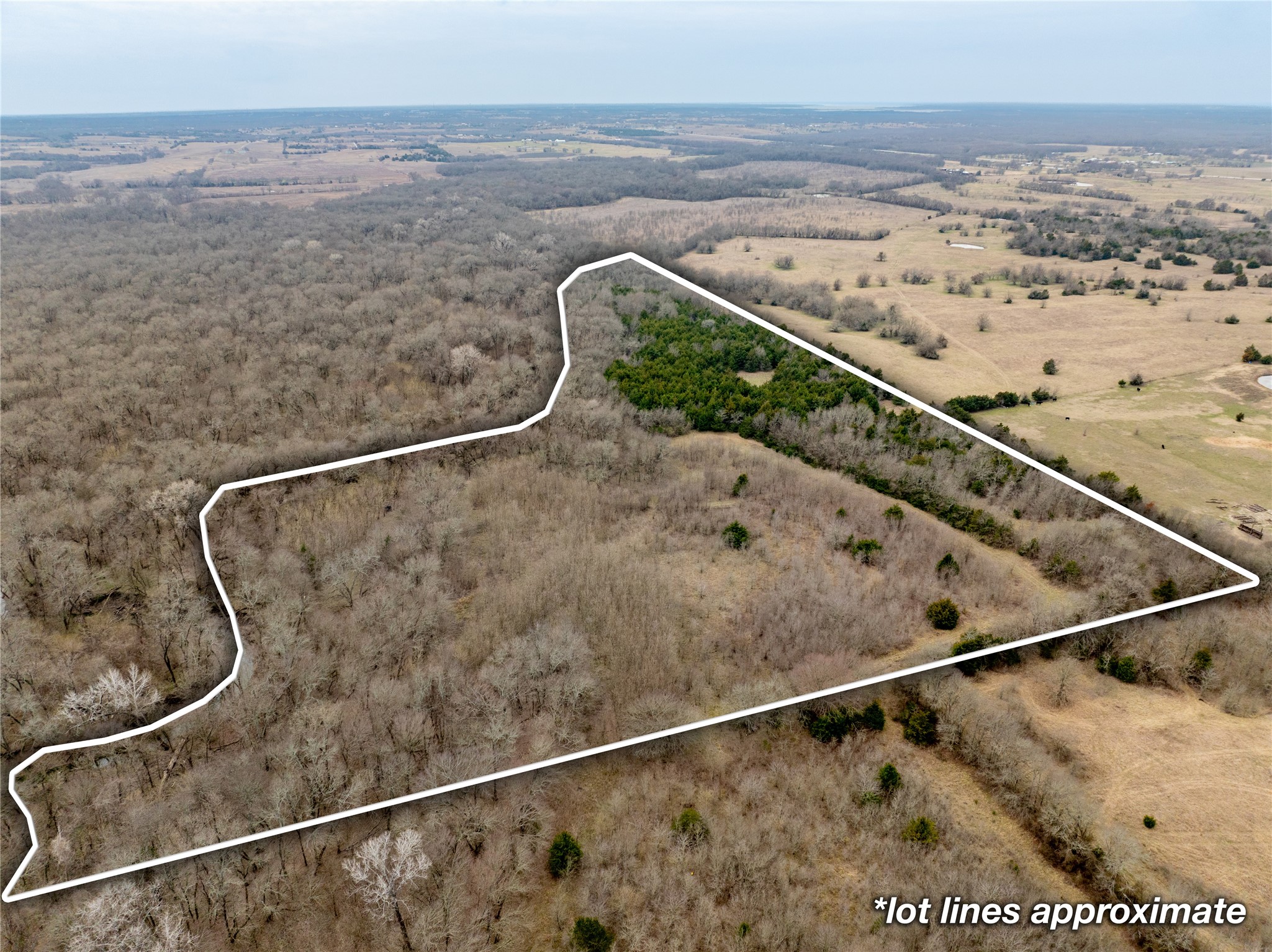 Tbd County Road 618 Farmersville TX 75442