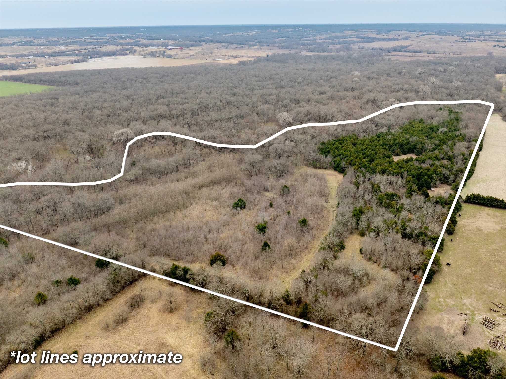 Tbd County Road 618 Farmersville TX 75442