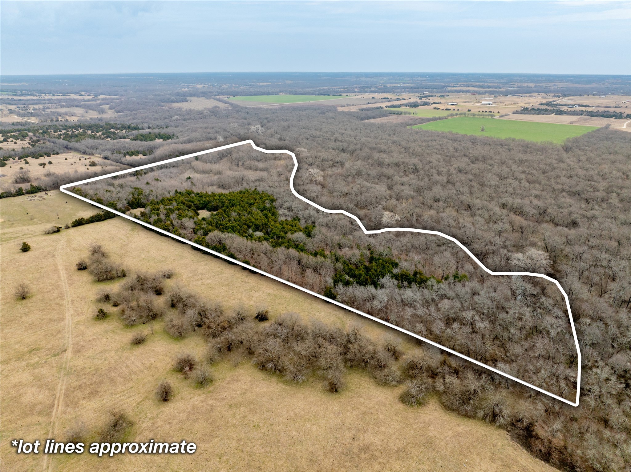 Tbd County Road 618 Farmersville TX 75442