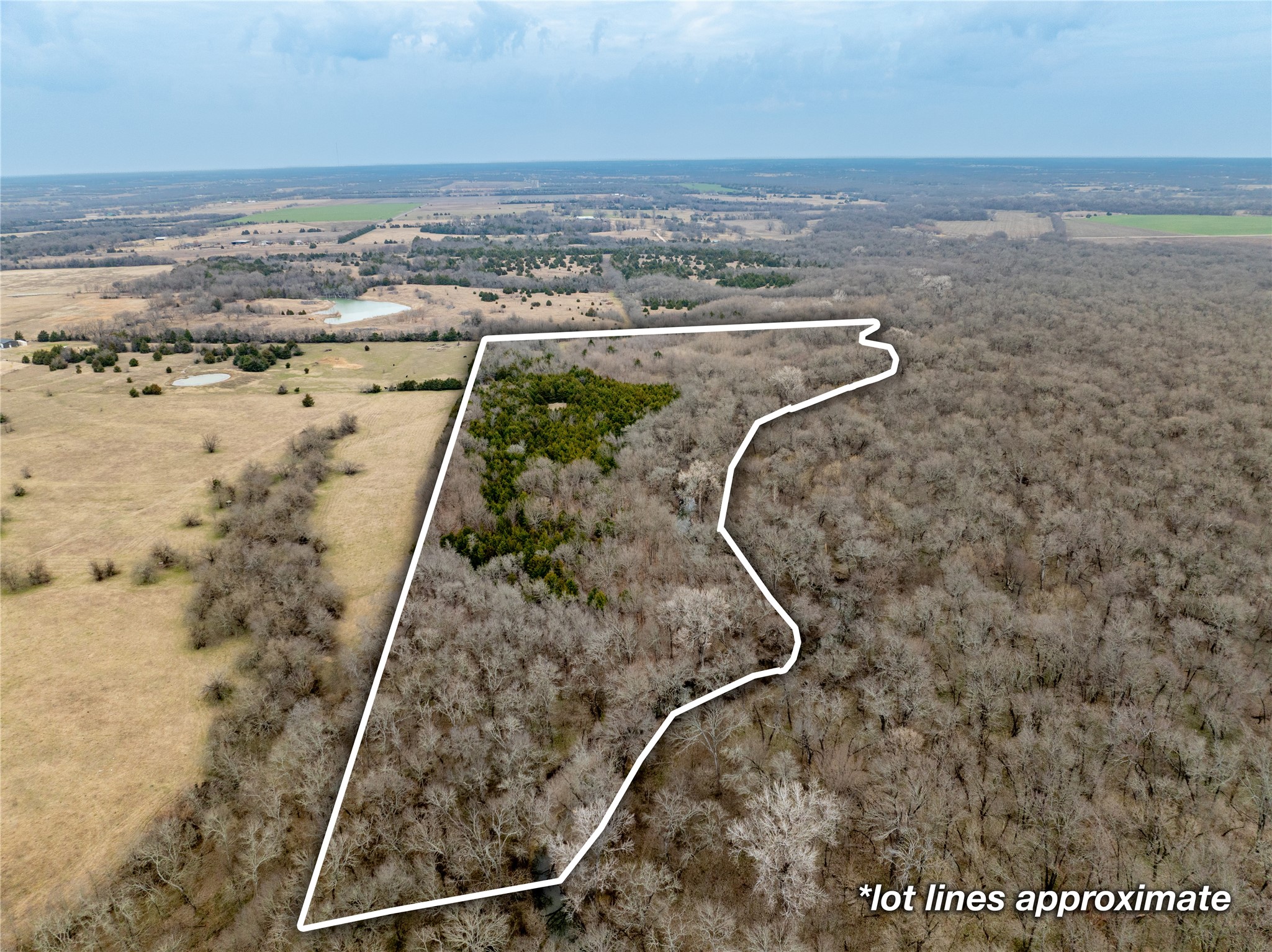 Tbd County Road 618 Farmersville TX 75442